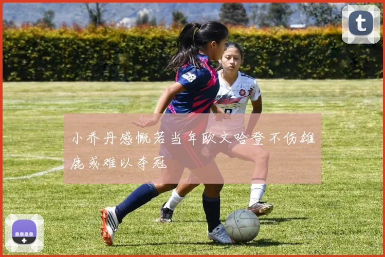 小乔丹感慨若当年欧文哈登不伤雄鹿或难以夺冠