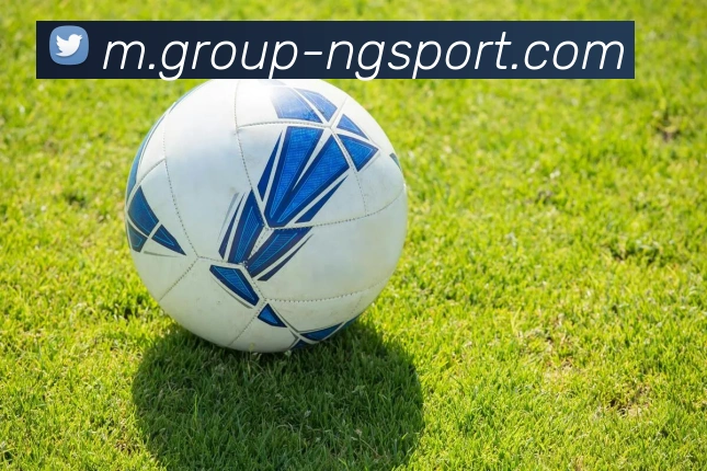 南宫体育服务体系